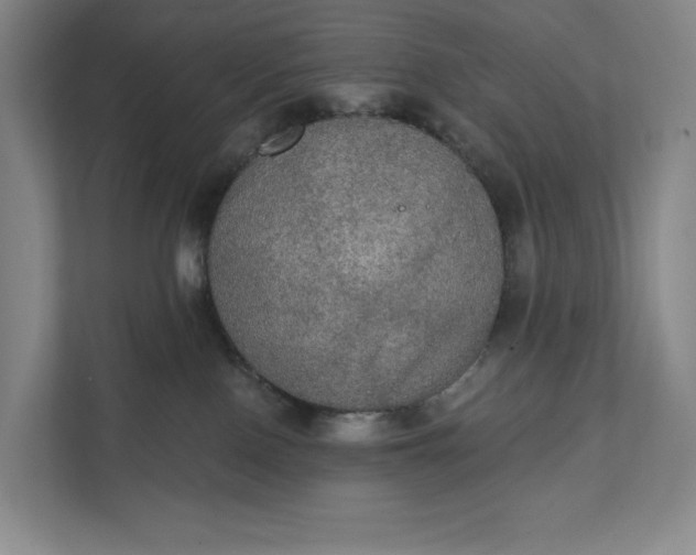 X0000112020090200908171439