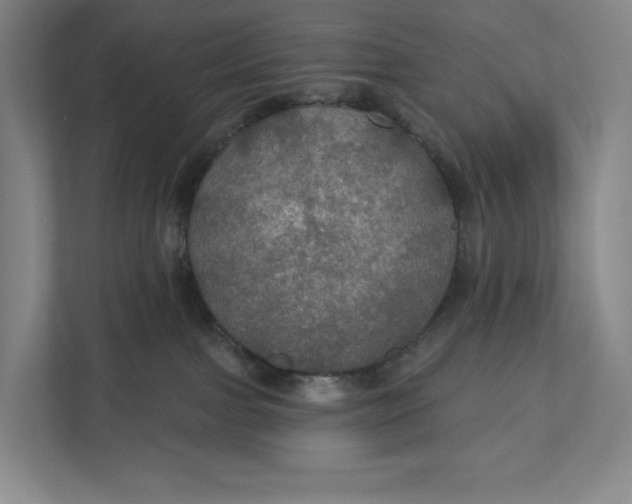 X0000112020091200908171439