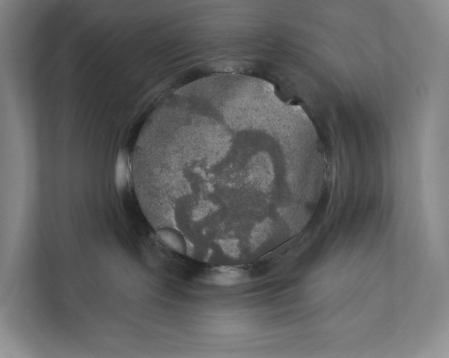 X0000112020095200908171439