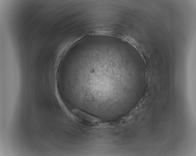 X0000112020097200908171439