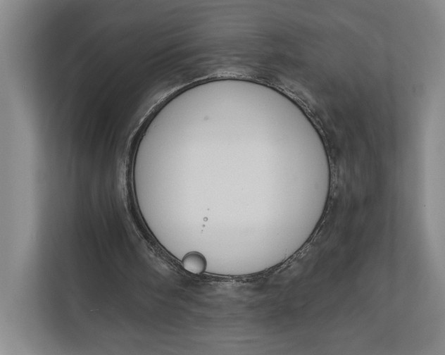 X0000112020098200908171439