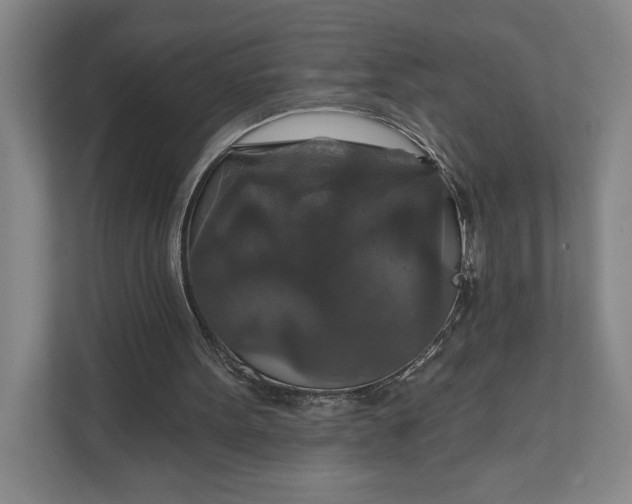 X0000112020099200908171439