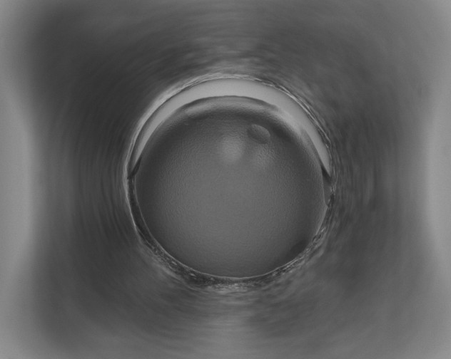 X0000112020100200908171438