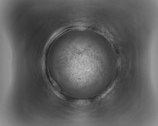 X0000112020101200908171438