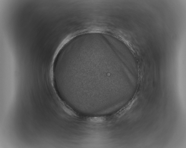 X0000112020102200908171438