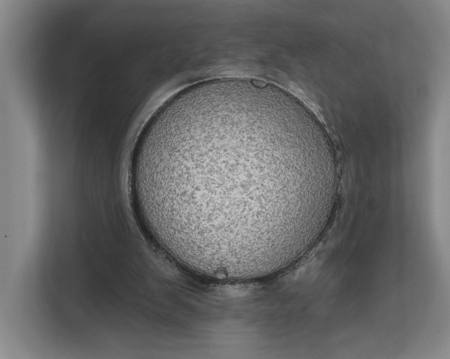 X0000112020103200908171438