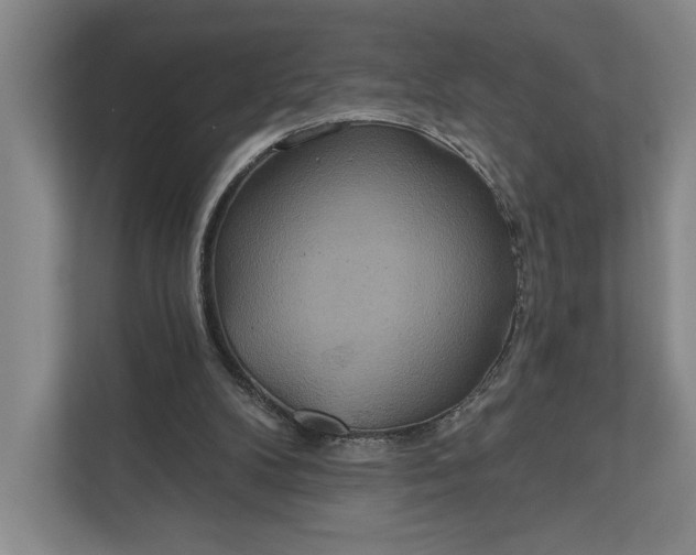 X0000112020104200908171438