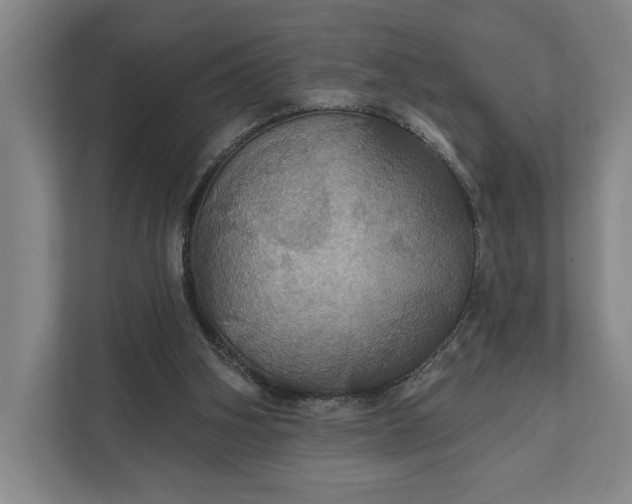 X0000112020106200908171438