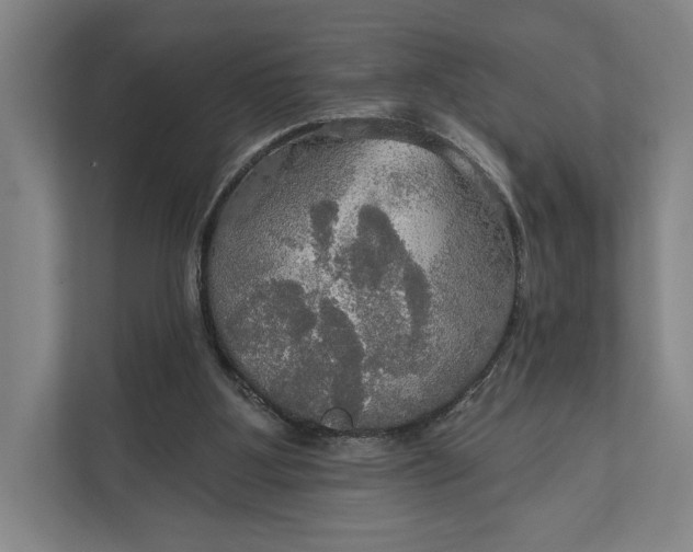 X0000112020107200908171438