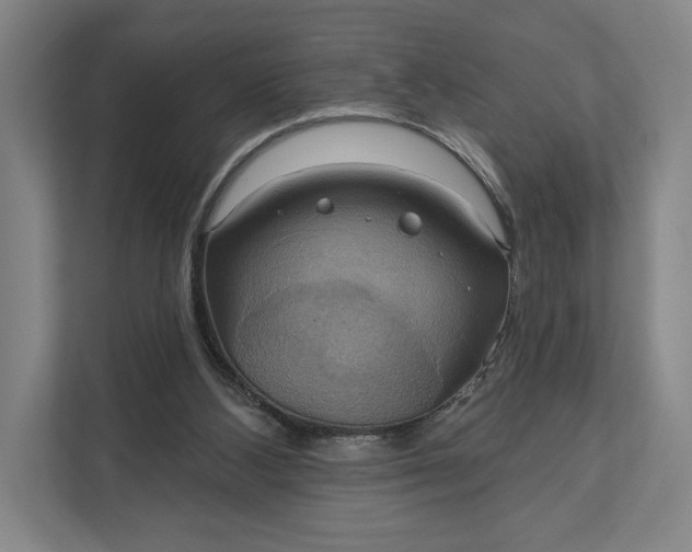 X0000112020108200908171438