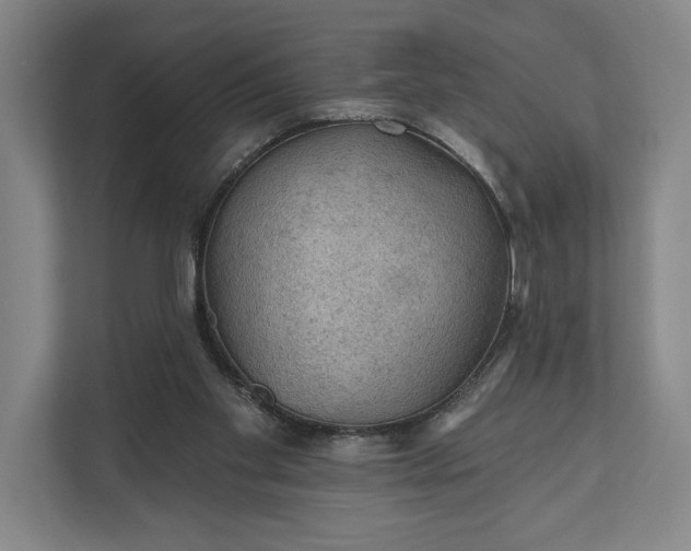 X0000112020109200908171438