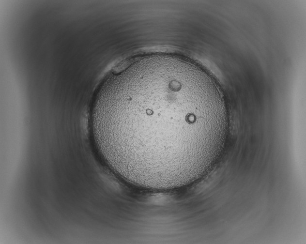 X0000112020111200908171438