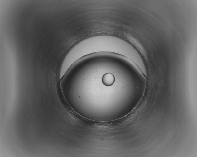 X0000112020113200908171438