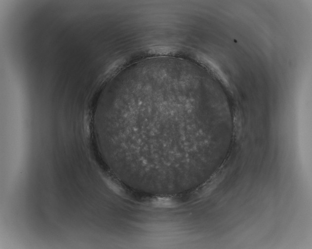 X0000112020114200908171438