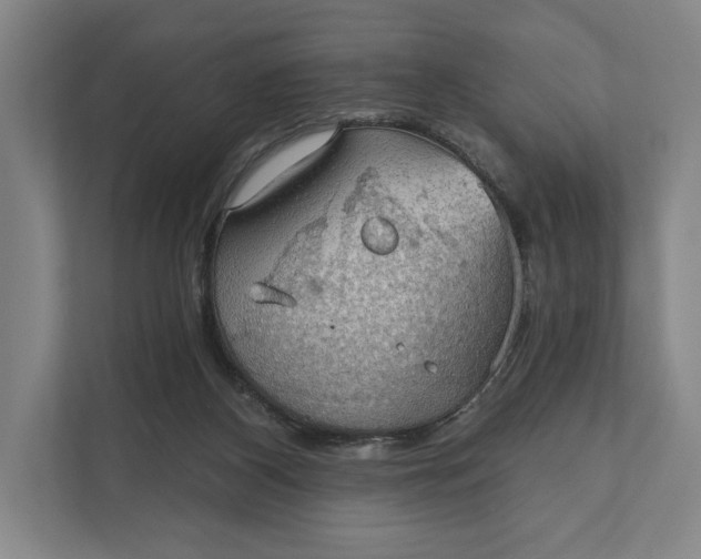 X0000112020116200908171438