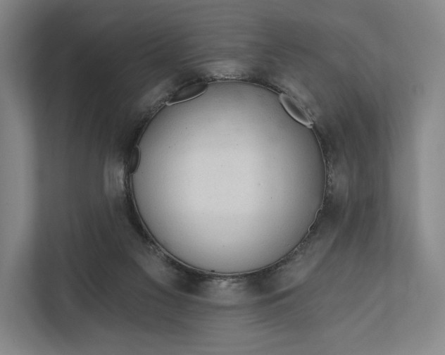 X0000112020117200908171438