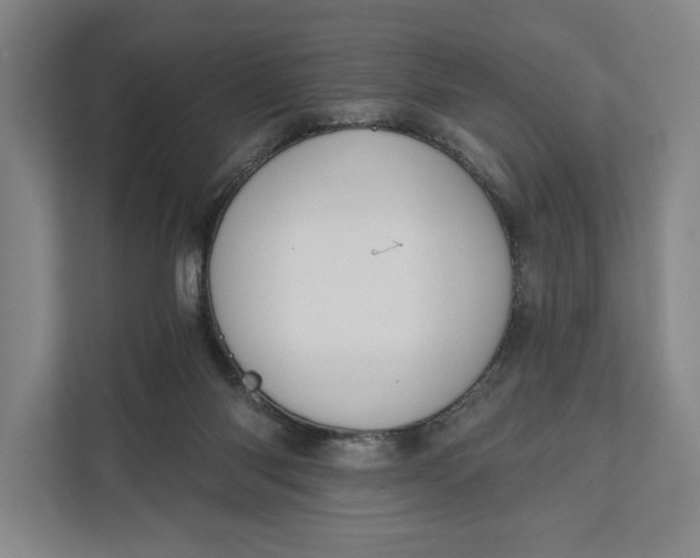 X0000112020118200908171438