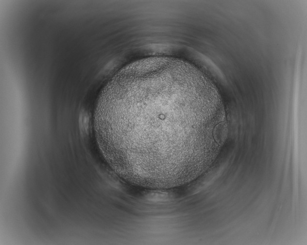 X0000112020123200908171438