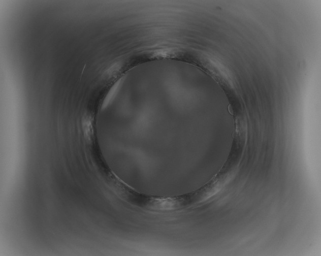 X0000112020127200908171438