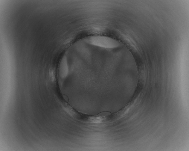 X0000112020131200908171438