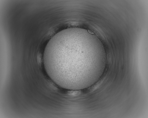 X0000112020135200908171438