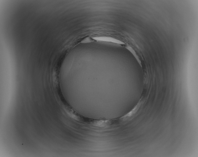 X0000112020136200908171438