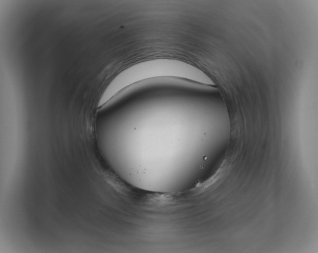 X0000112020140200908171438