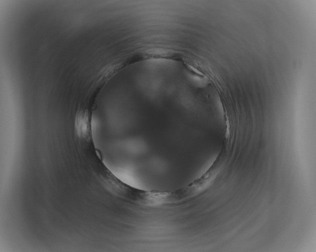 X0000112020143200908171438