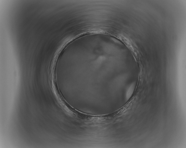 X0000112020145200908171437