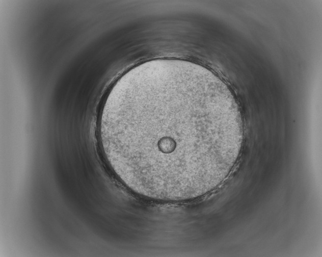 X0000112020146200908171437