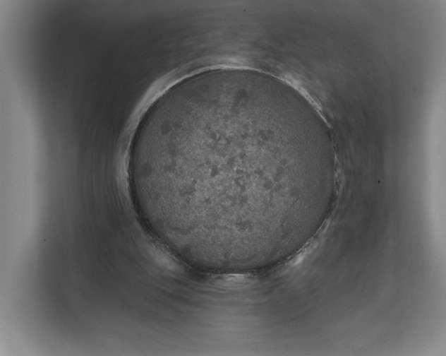 X0000112020151200908171437