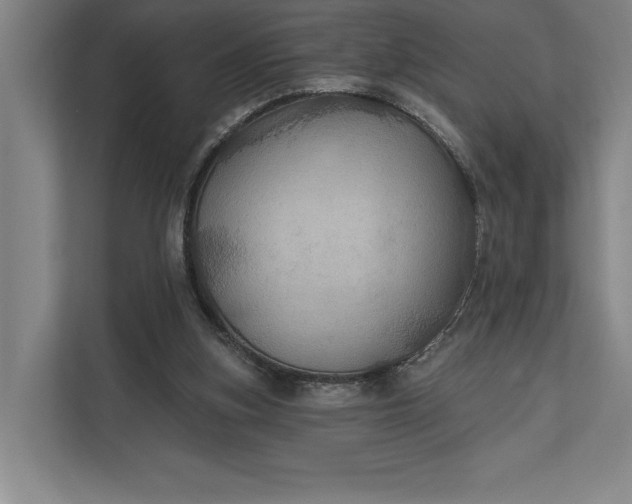 X0000112020155200908171437