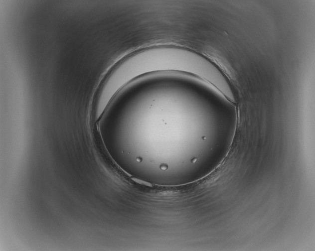 X0000112020156200908171437