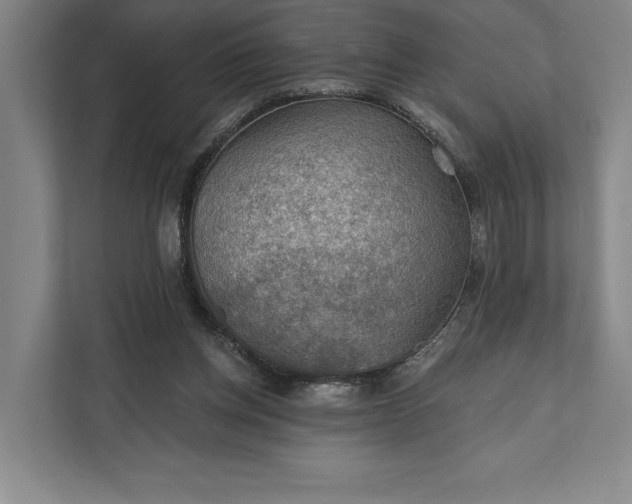 X0000112020158200908171437