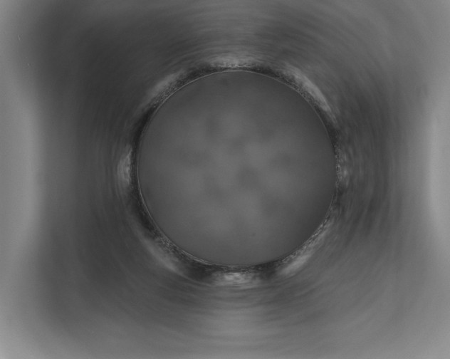 X0000112020163200908171438