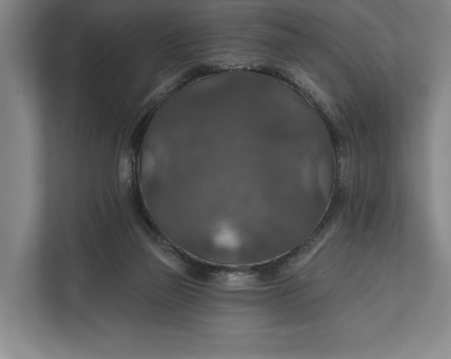 X0000112020165200908171438