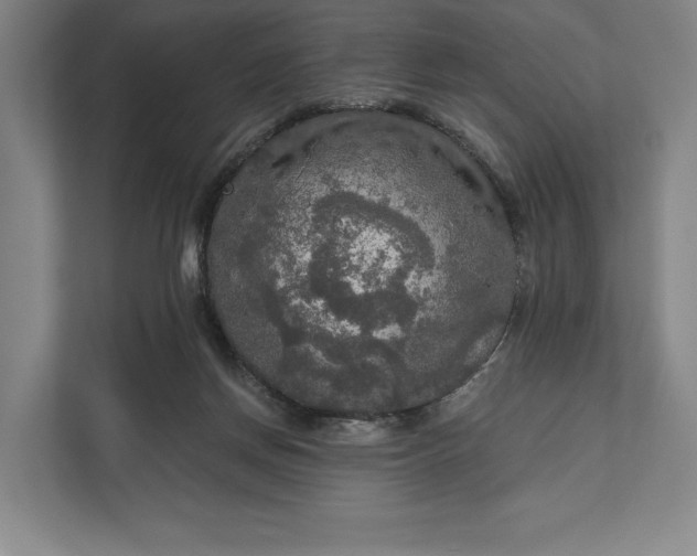 X0000112020166200908171438