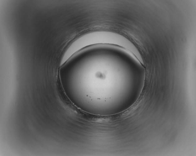 X0000112020168200908171438