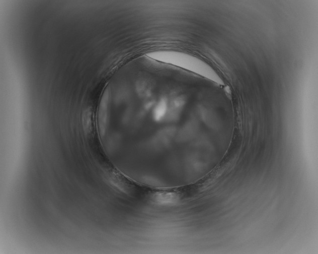 X0000112020169200908171438