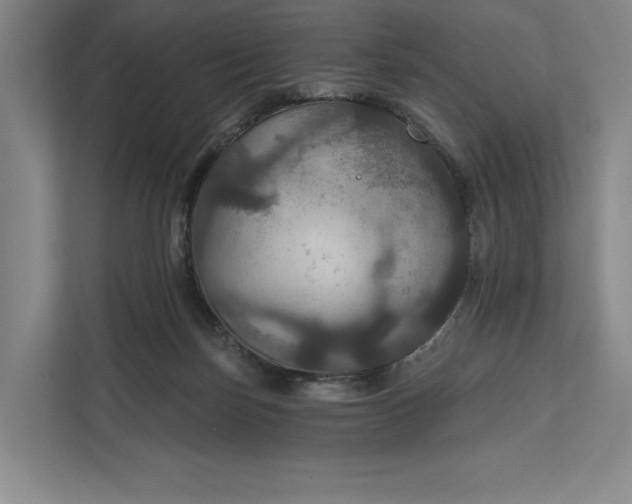 X0000112020171200908171438