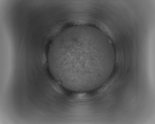 X0000112020173200908171438