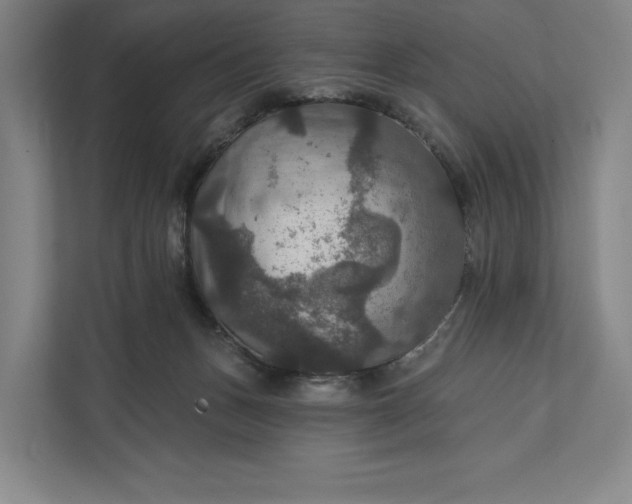 X0000112020175200908171438