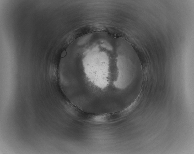 X0000112020178200908171438