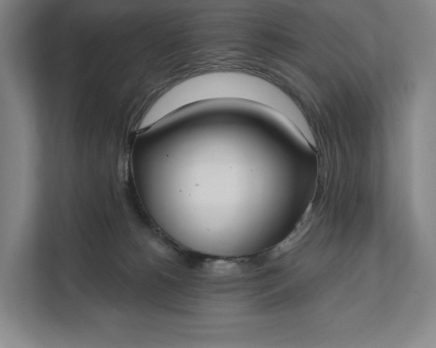 X0000112020180200908171438