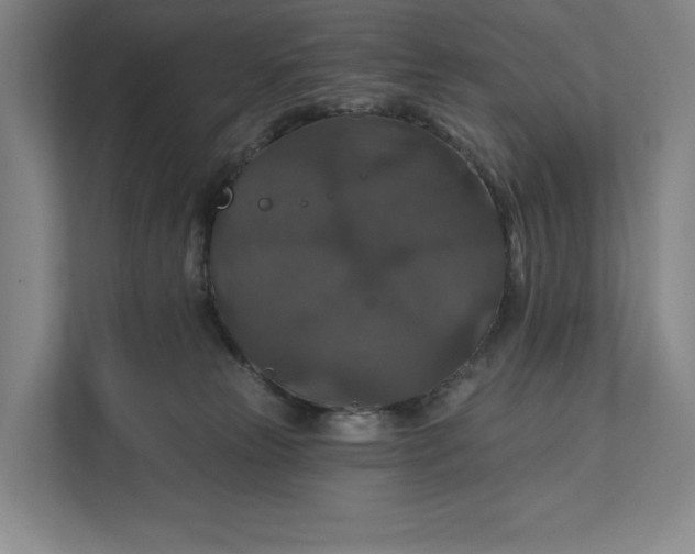 X0000112020181200908171438