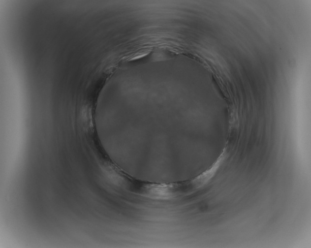 X0000112020182200908171438