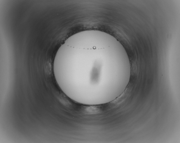 X0000112020183200908171438