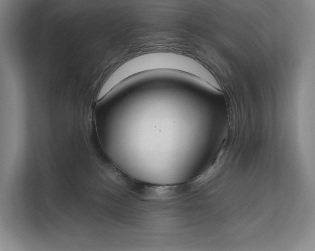 X0000112020184200908171438