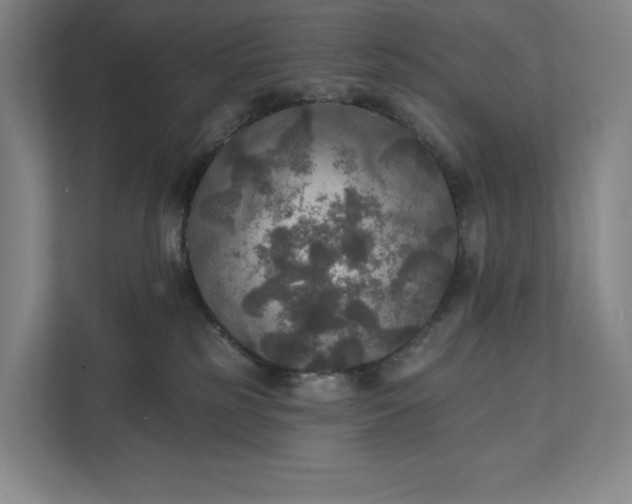 X0000112020185200908171438