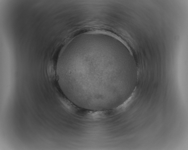 X0000112020186200908171438